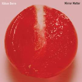 Mirror Matter
