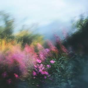 Zen's Garden