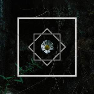 Flora Obscura