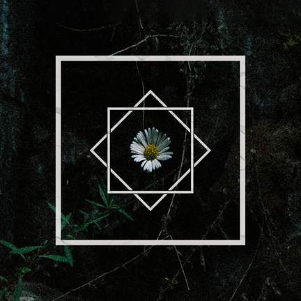Flora Obscura