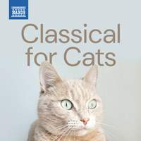 Classical for Cats
