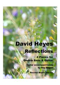 David Heyes: Reflections