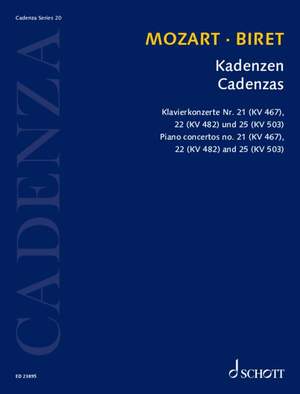 Biret, I: Kadenzen Vol. 20