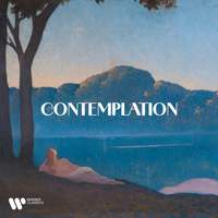 Contemplation