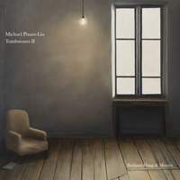 Michael Pisaro-Liu - Tombstones II
