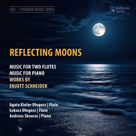Reflecting Moons
