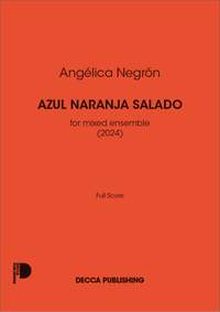 Angélica Negrón: Azul Naranja Salado
