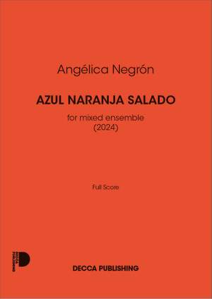 Angélica Negrón: Azul Naranja Salado