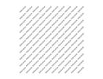 Balch, Katherine: Tree Lines Product Image