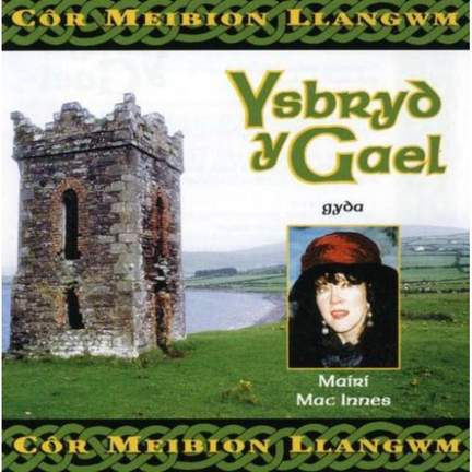 Ysbryd Y Gael