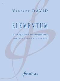 Vincent David: Elementum