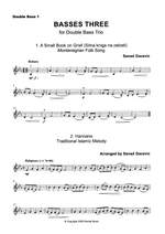 Senad Gacevic: Basses Three Product Image
