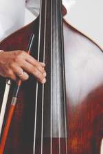 Thomastik-Infeld Peter Infeld Double Bass String C - 3/4 Product Image