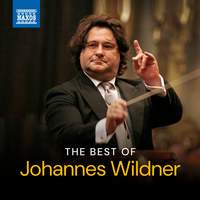 The Best of Johannes Wildner
