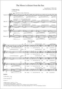 Birzer, Lucia: The Moon is distant from the Sea