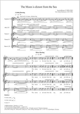 Birzer, Lucia: The Moon is distant from the Sea