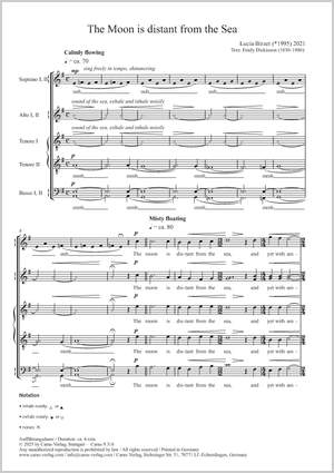 Birzer, Lucia: The Moon is distant from the Sea