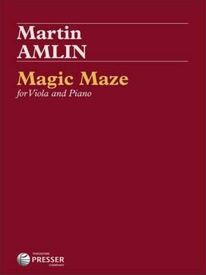 Martin Amlin: Magic Maze