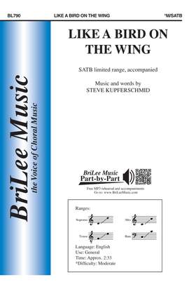 Steve Kupferschmid: Like a Bird on the Wing