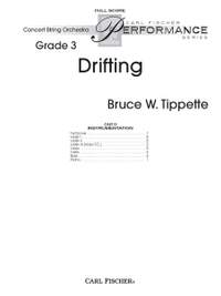Bruce W. Tippette: Drifting