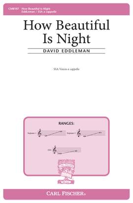 David Eddleman: How Beautiful Is Night