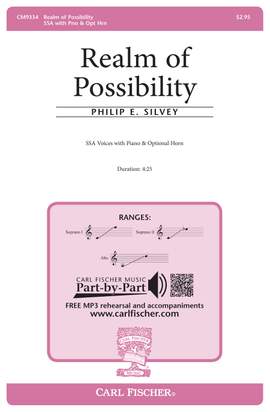 Philip E. Silvey: Realm of Possibility