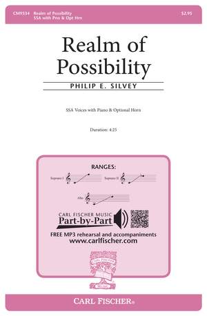 Philip E. Silvey: Realm of Possibility
