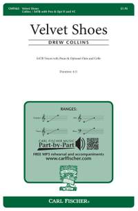 Drew Collins: Velvet Shoes