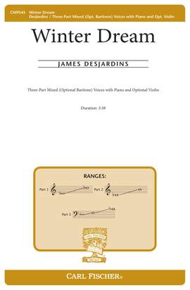 James DesJardins: Winter Dream