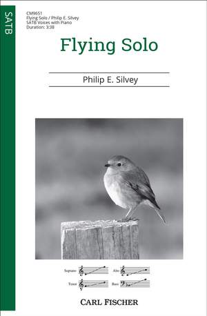 Philip E. Silvey: Flying Solo