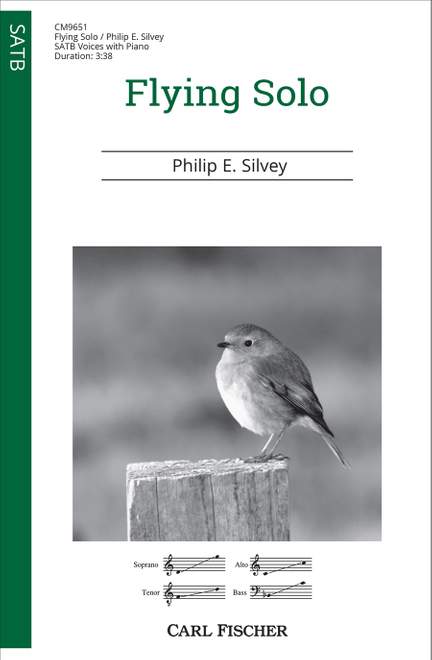 Philip E. Silvey: Flying Solo