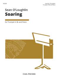 Sean O'Loughlin: Soaring