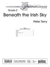 Peter Terry: Beneath the Irish Sky