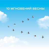 10 мгновений весны