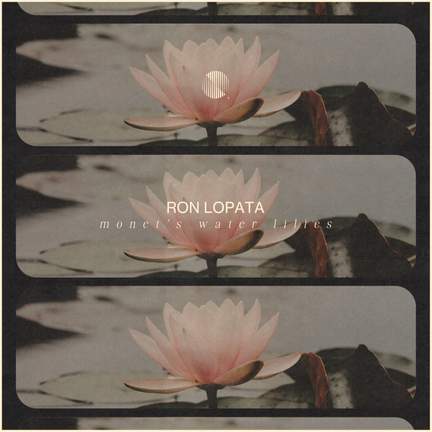 Monet's Water Lillies