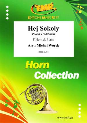 Michal Worek: Hej Sokoly