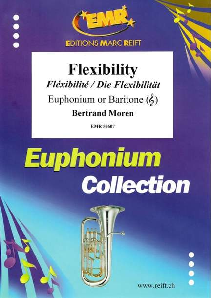 Bertrand Moren: Flexibility