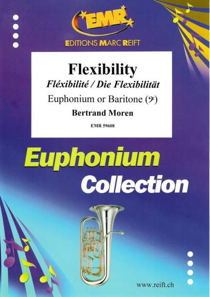 Bertrand Moren: Flexibility
