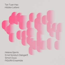 Tan Tuan Hao: Hidden Letters