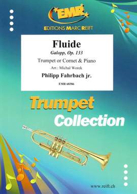 Philipp Fahrbach Jr.: Fluide