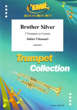 Jukka Viitasaari: Brother Silver