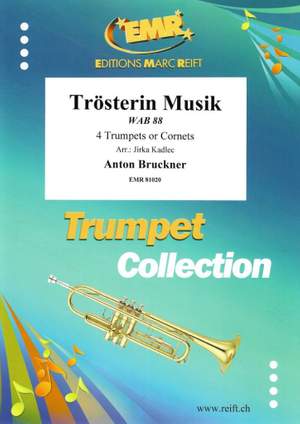 Anton Bruckner: Trösterin Musik