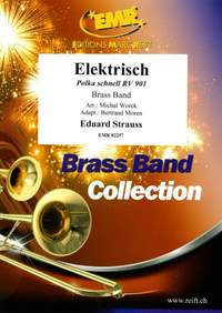 Eduard Strauss: Elektrisch