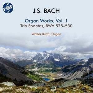 J.S. Bach: Organ Works, Vol. 1