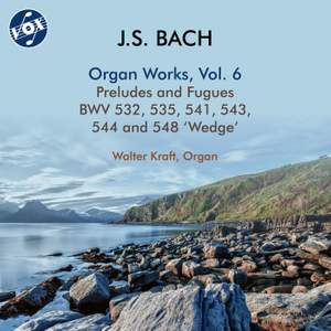 J.S. Bach: Organ Works, Vol. 6