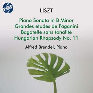 Liszt: Piano Works