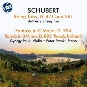Schubert: Chamber Works
