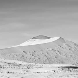 Desert Air X