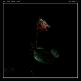 Withered