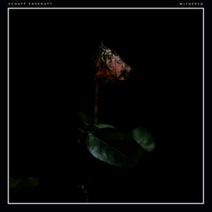 Withered